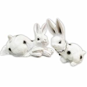 White Rabbit Pair