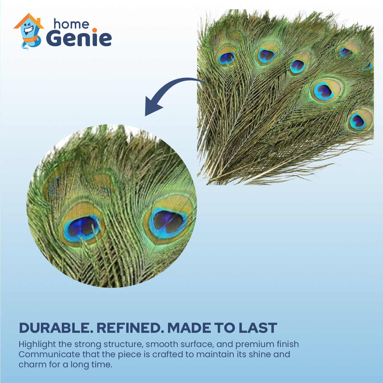 Natural Peacock Feathers