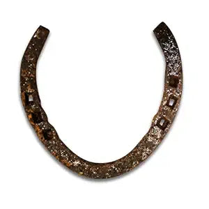 Black Metal Horse Shoe