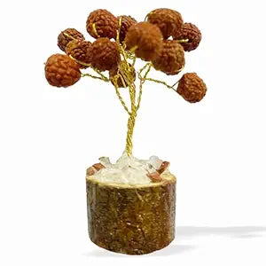 Rudraksha Tree mini