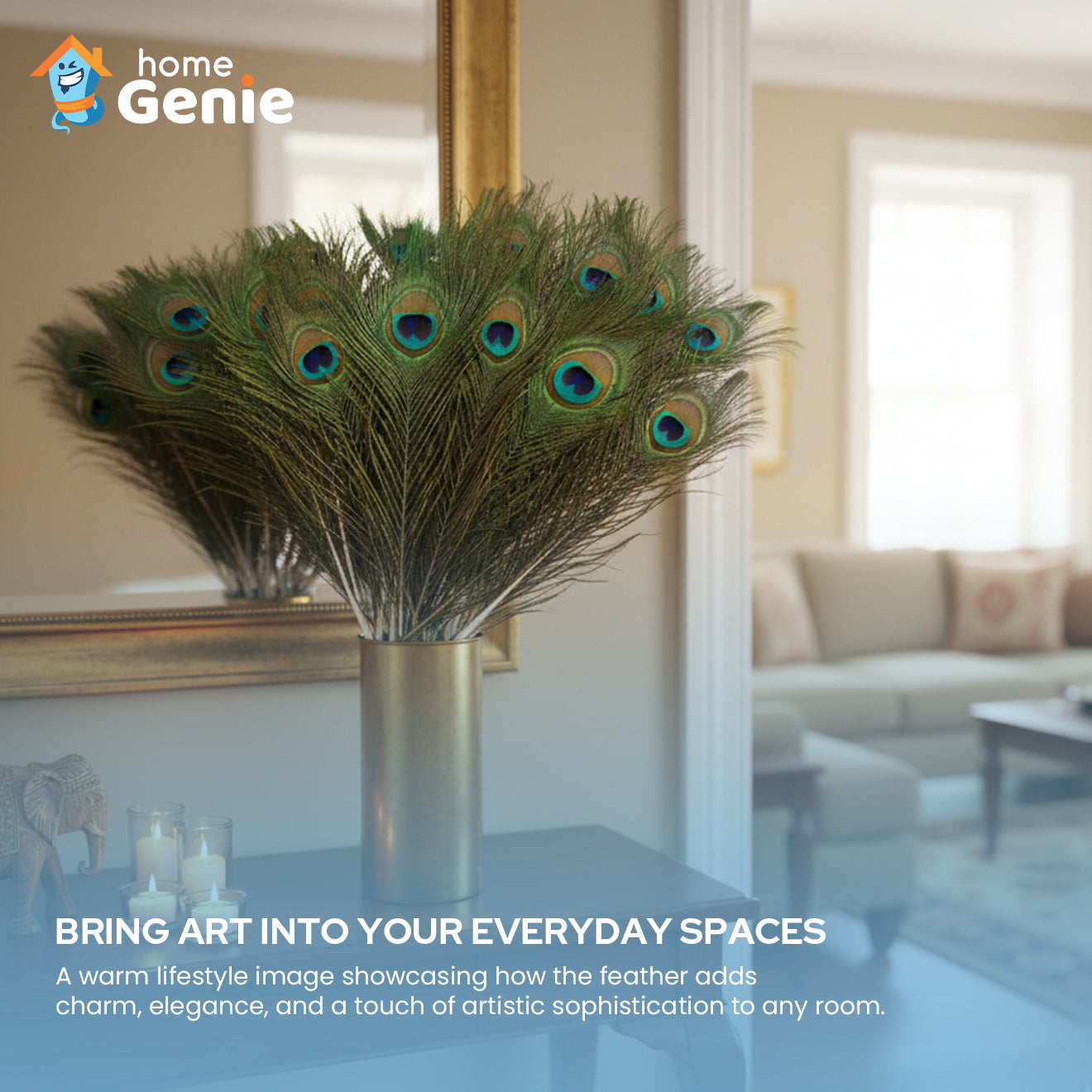 Natural Peacock Feathers