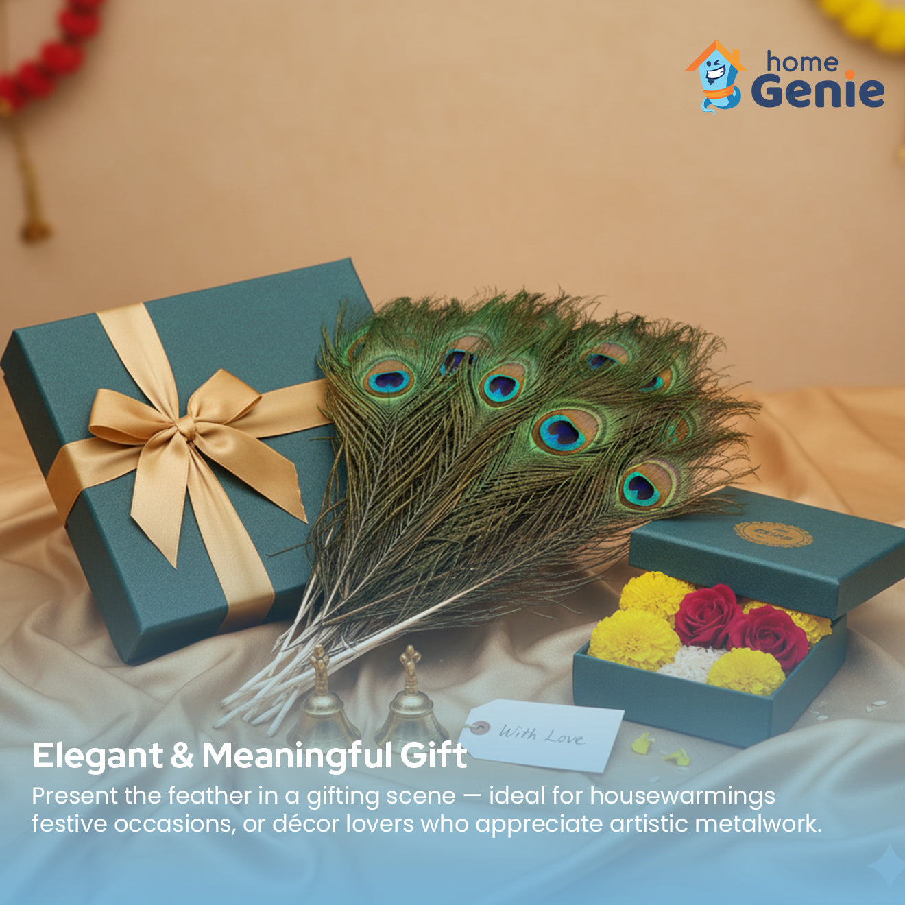 Natural Peacock Feathers