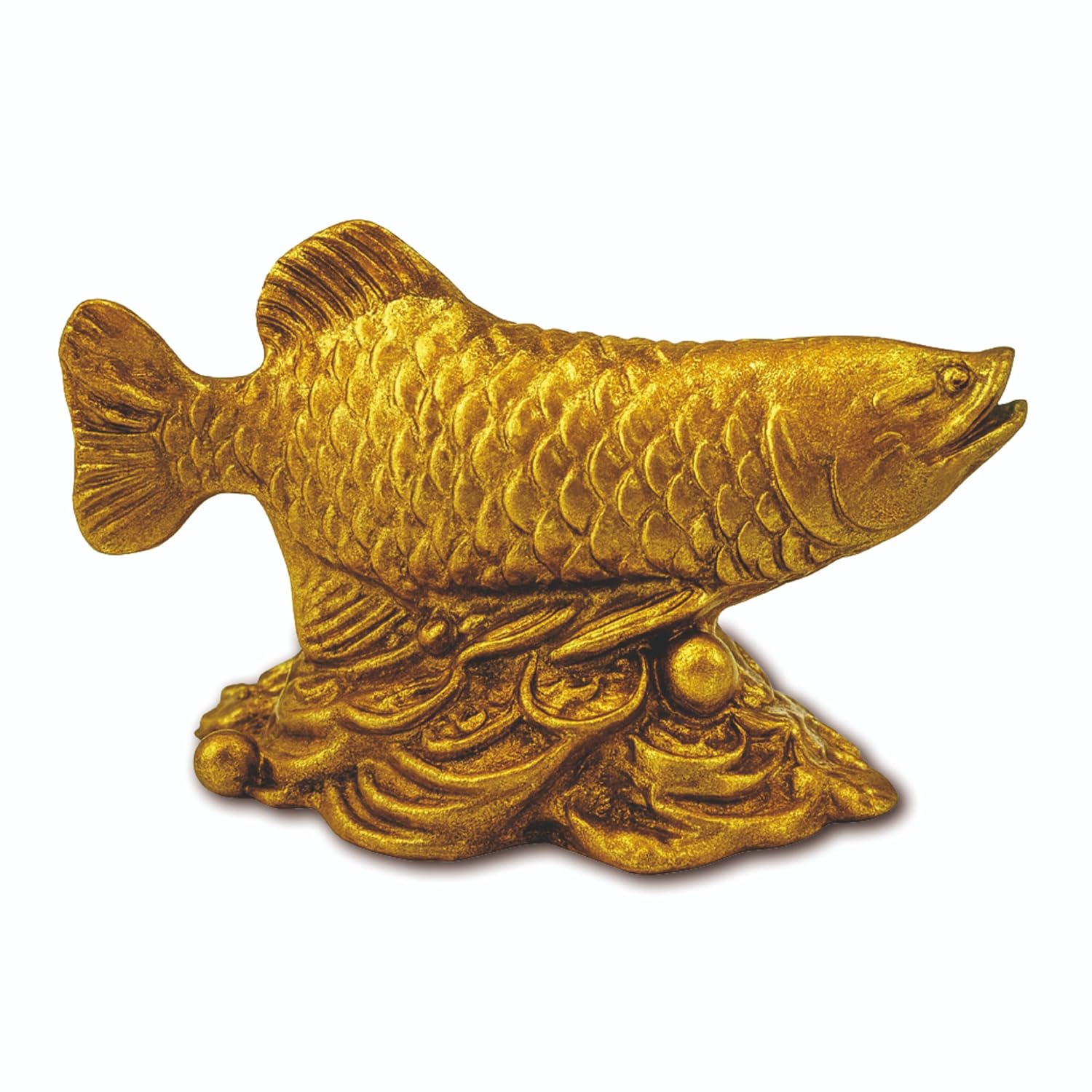 Golden Arowana Fish