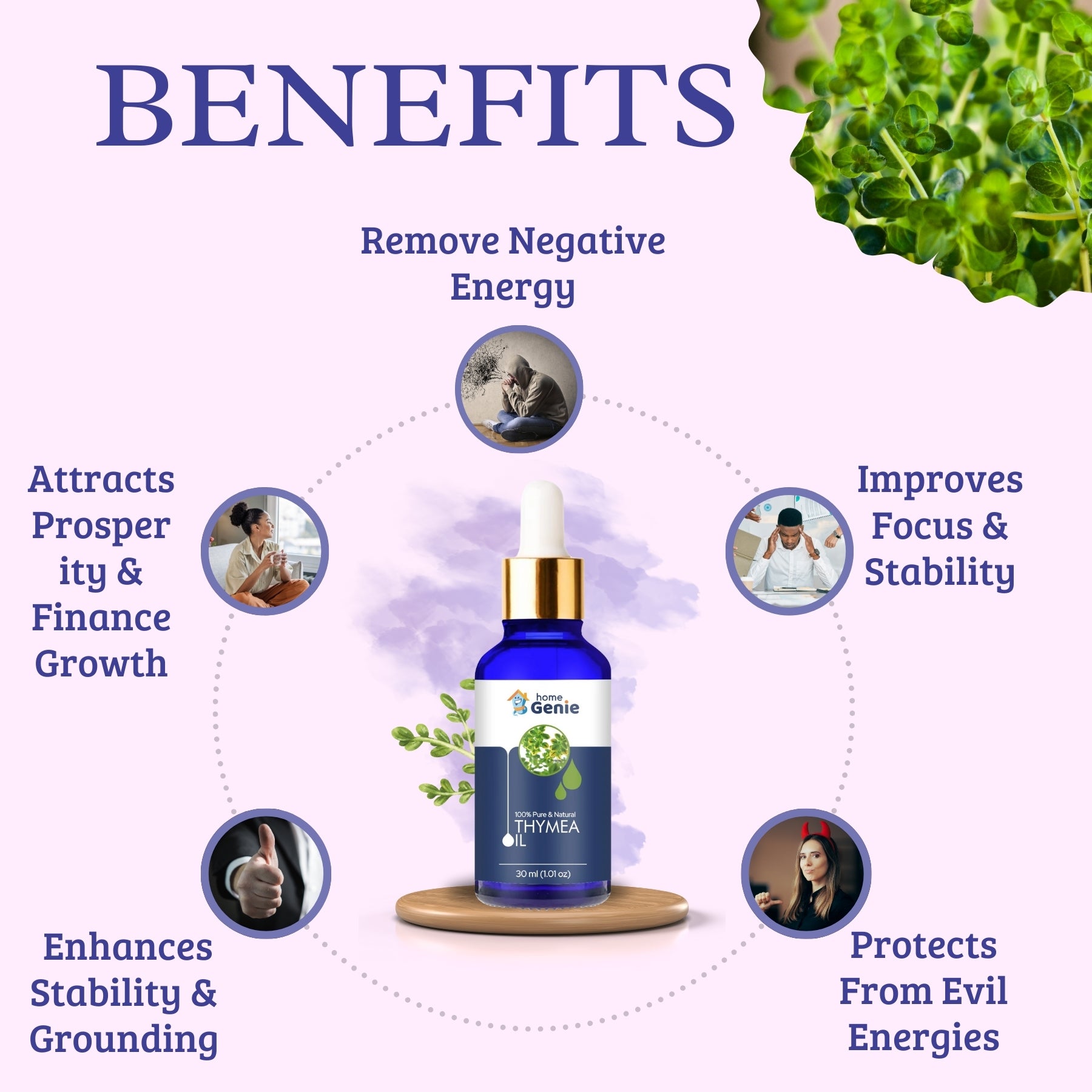 Thyme Oil: Vastu Harmony & Healing